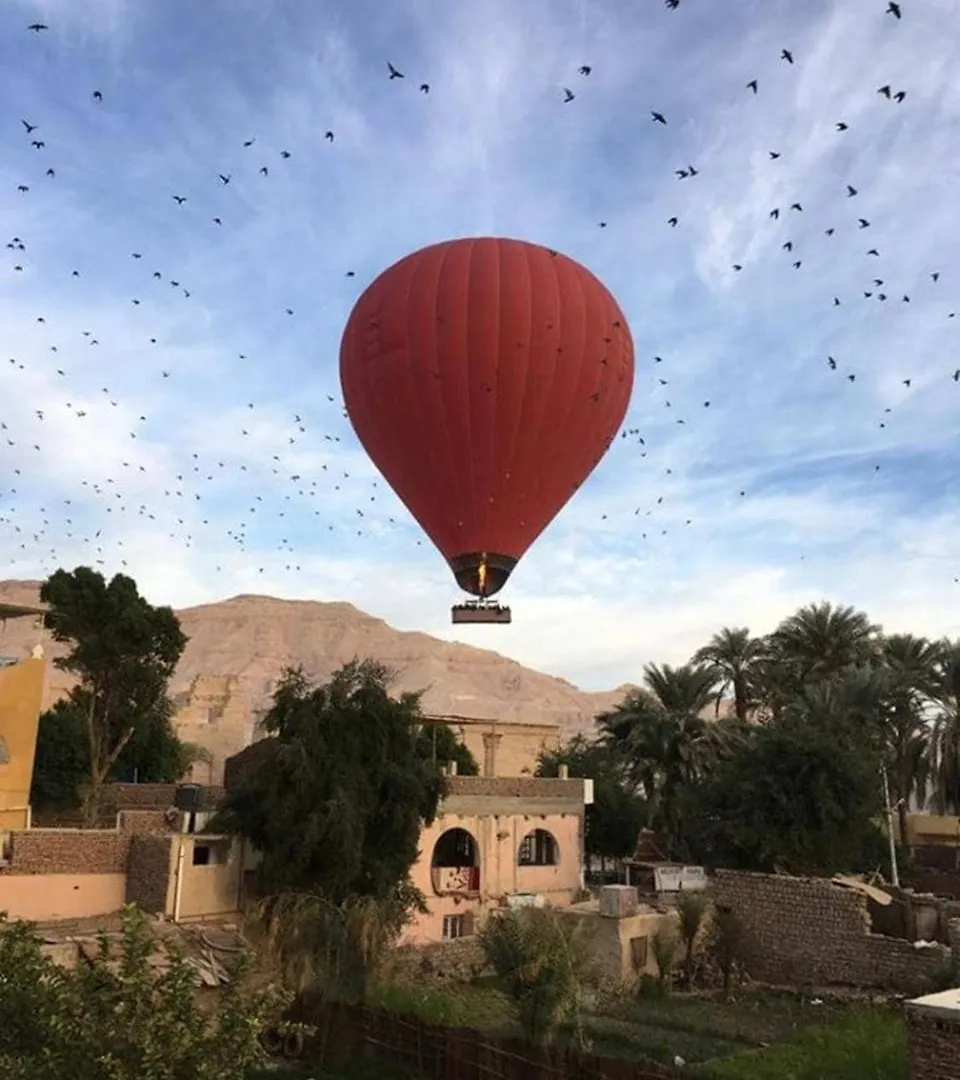 Amenophis Hotel Louxor Égypte